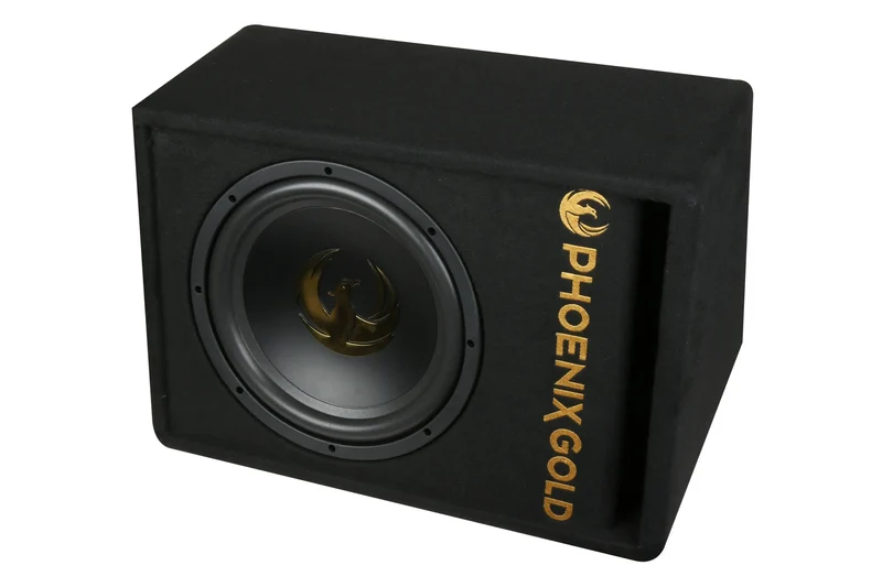 PHOENIX GOLD Z12AB – Caisson de basses actif 30 cm 500 W RMS