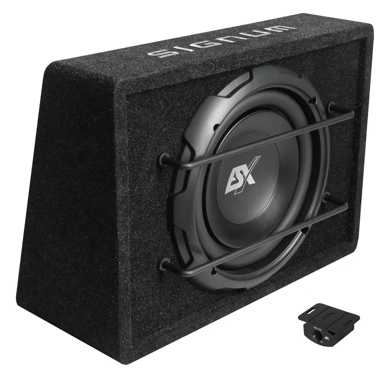 ESX SXB10A – Subwoofer actif 25 cm (10”) haute performance