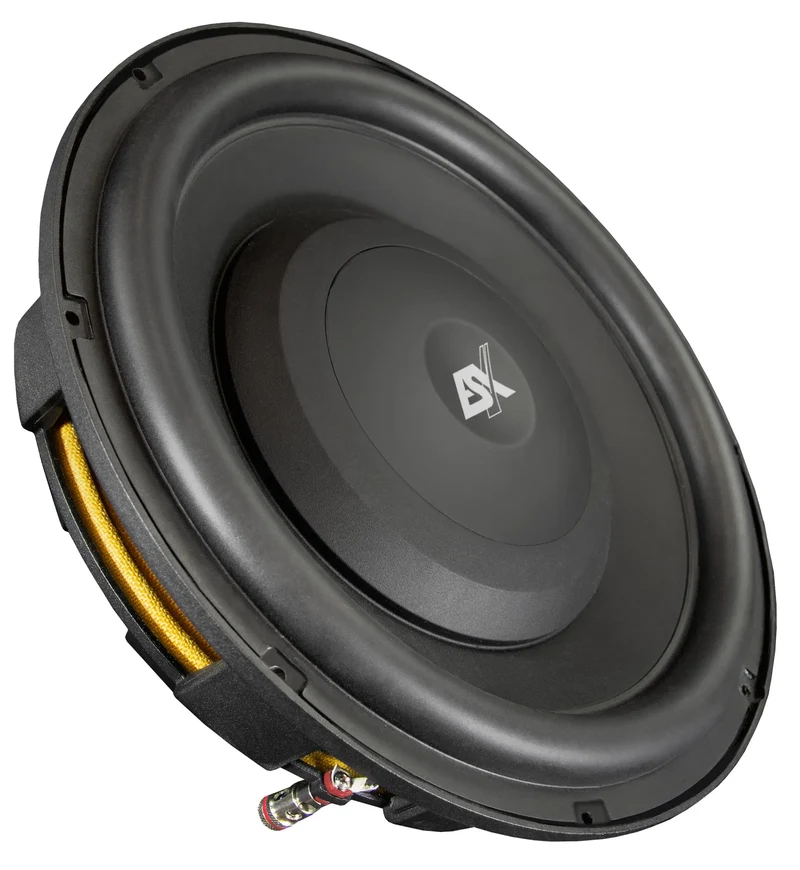 ESX QXP124 – Subwoofer 30 cm (12”) ultra-plat avec protection