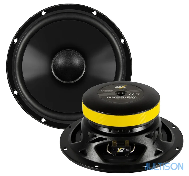 ESX QXE6.2WV2 - Haut-parleur Kickbass 16,5 cm 125W RMS