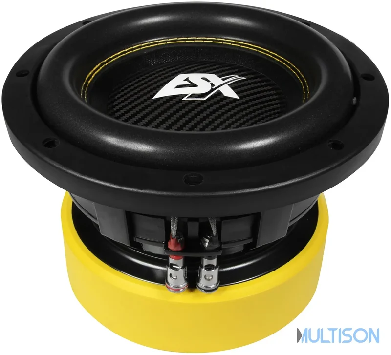 ESX QXE8D2 - Subwoofer Compact 20 cm à Double Bobine Mobile
