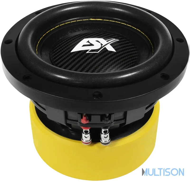 ESX QXE6D2 - Subwoofer Compact 16,5 cm à Double Bobine Mobile