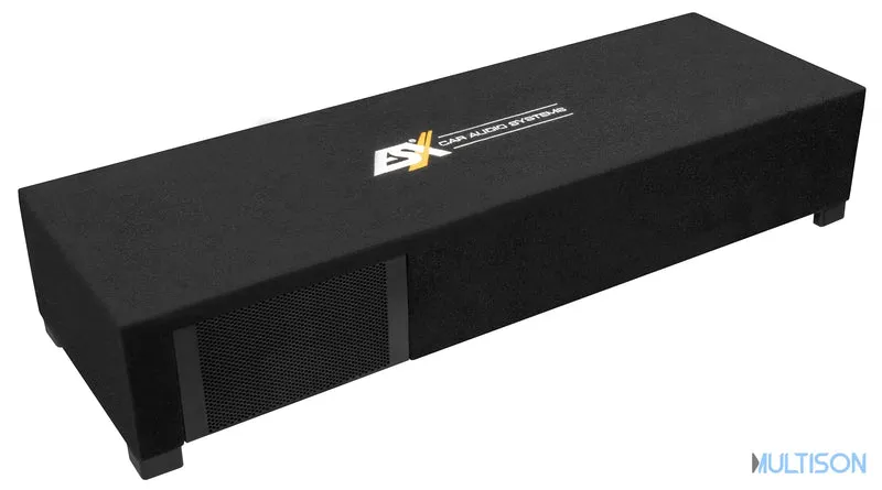 ESX DBX600Q - Caisson de Basse Dual Bassreflex avec Emplacement Amplificateur