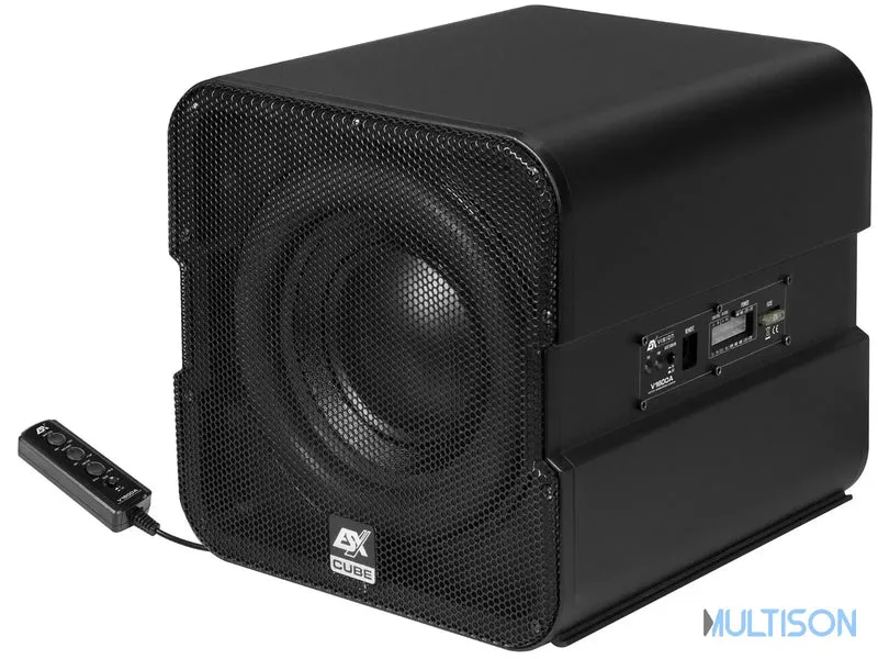 ESX V1600A – Système de Subwoofer Actif 20 cm avec Subwoofer Passif