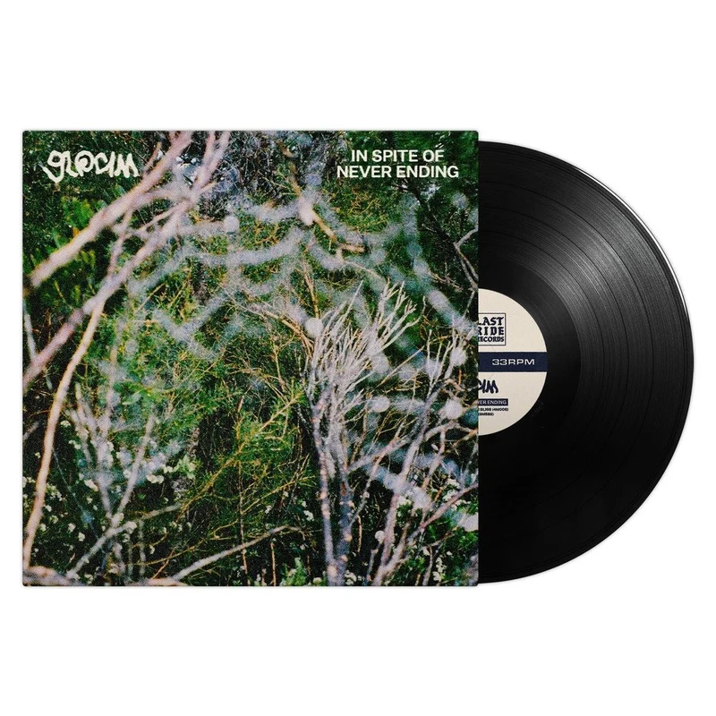 In Spite Of Never Ending (Limited 7IN Vinyl)