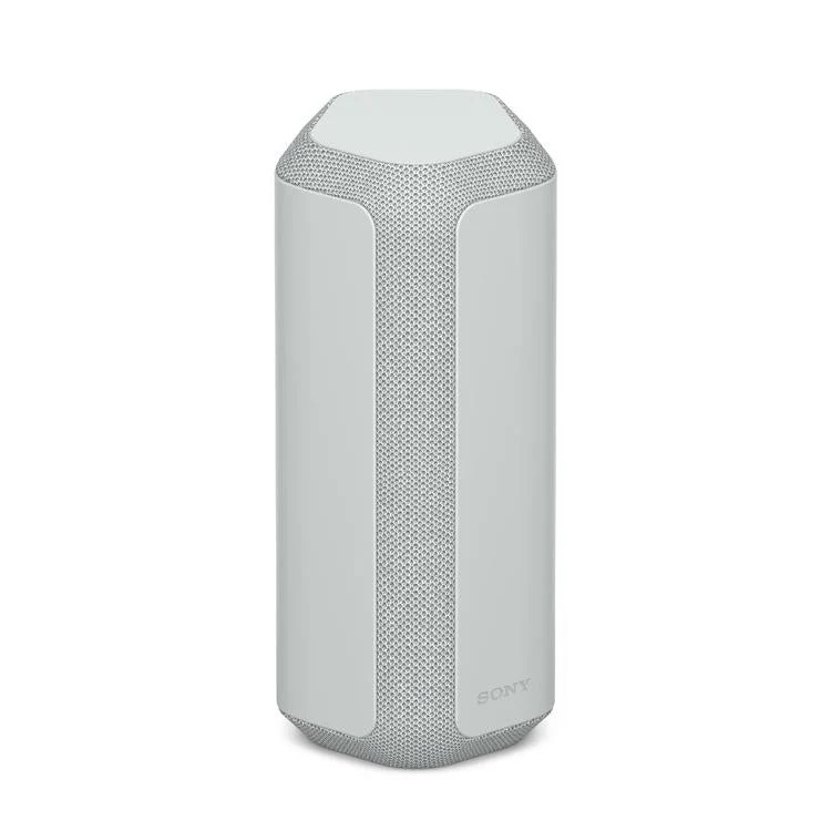Sony SRS-XE300 | Haut-parleur portatif - Sans fil - Bluetooth - Compact - IP67 - Gris
